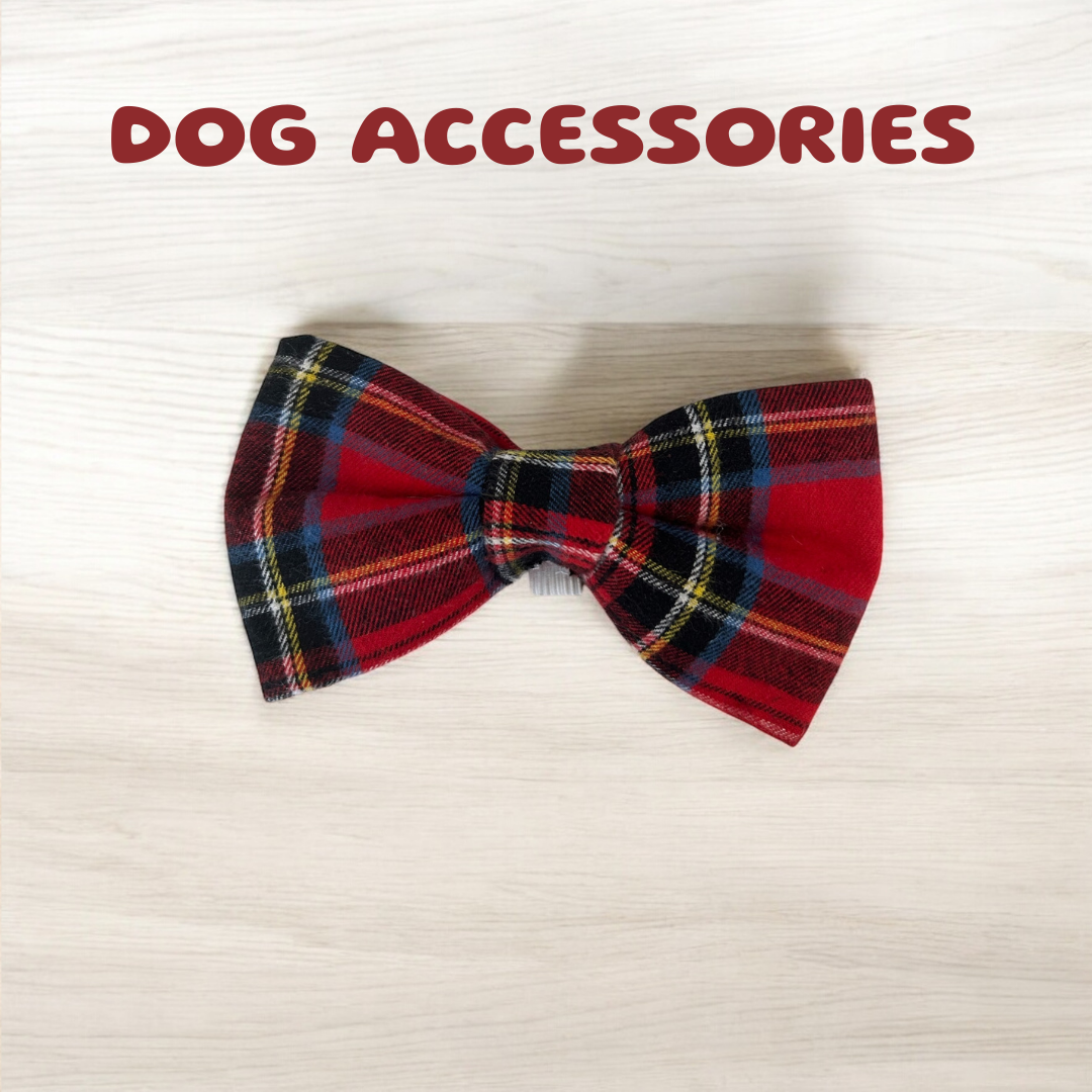 Dog Accessories