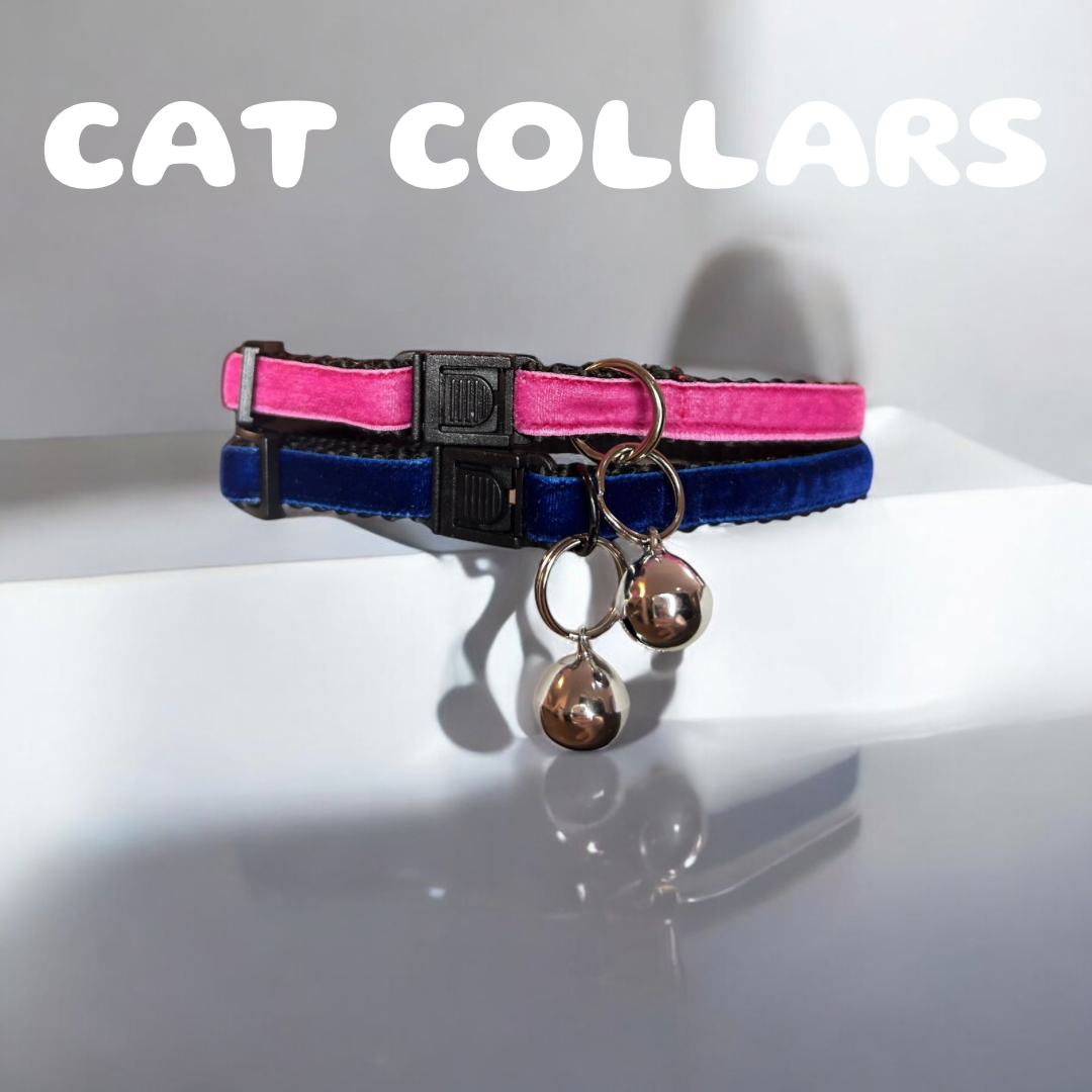 Cat Collars