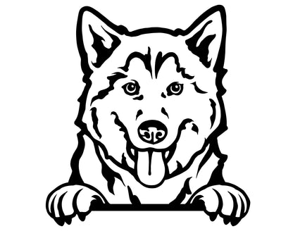 Husky Vinyl Decals (Various designs) - White