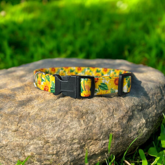 Sunny Sunflower Dog Collar